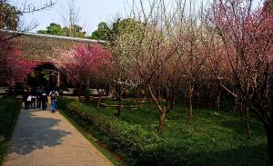 Du Fu Thatched Cottage